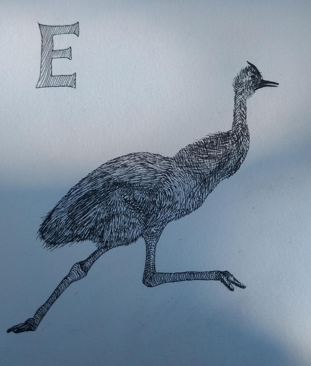 Emu