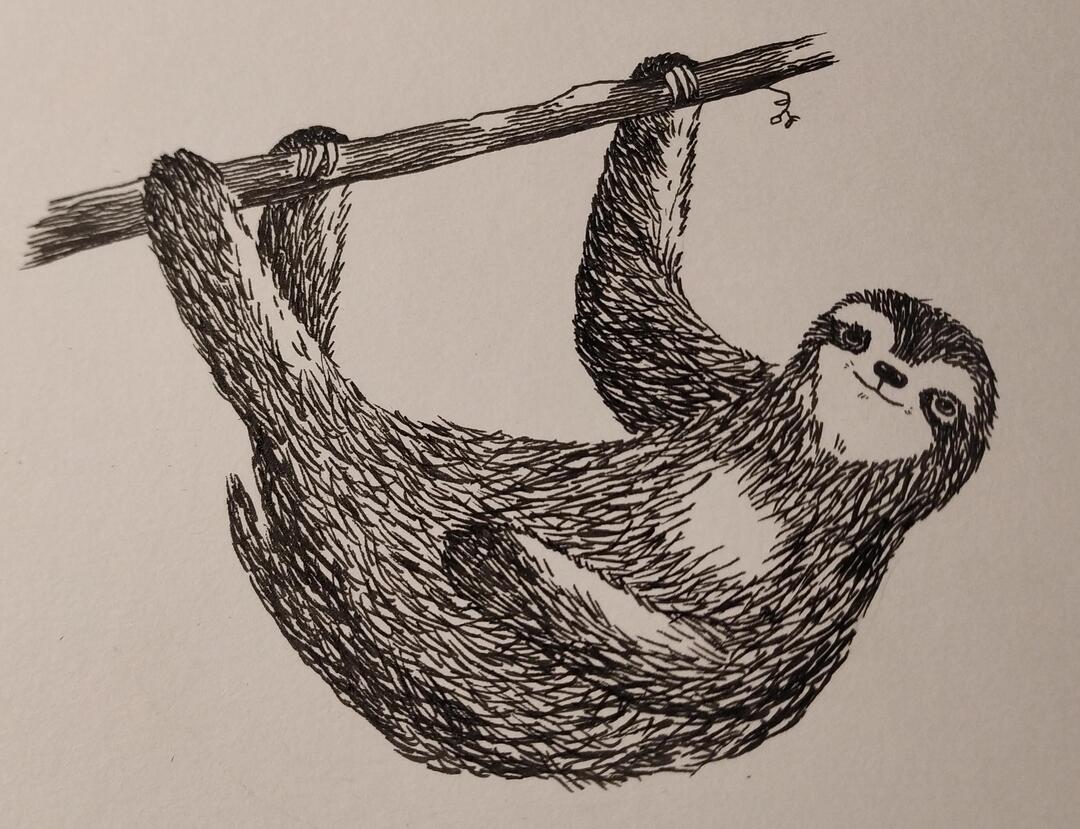 Sloth