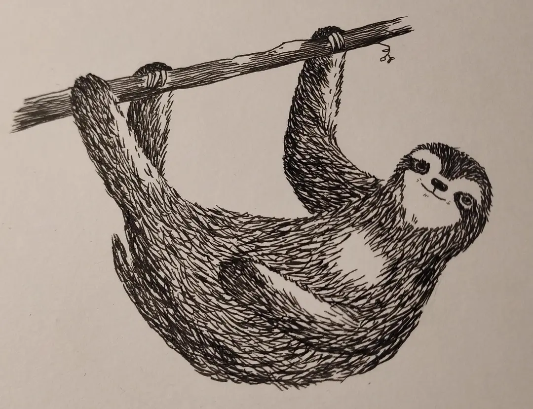 Sloth