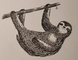 Sloth