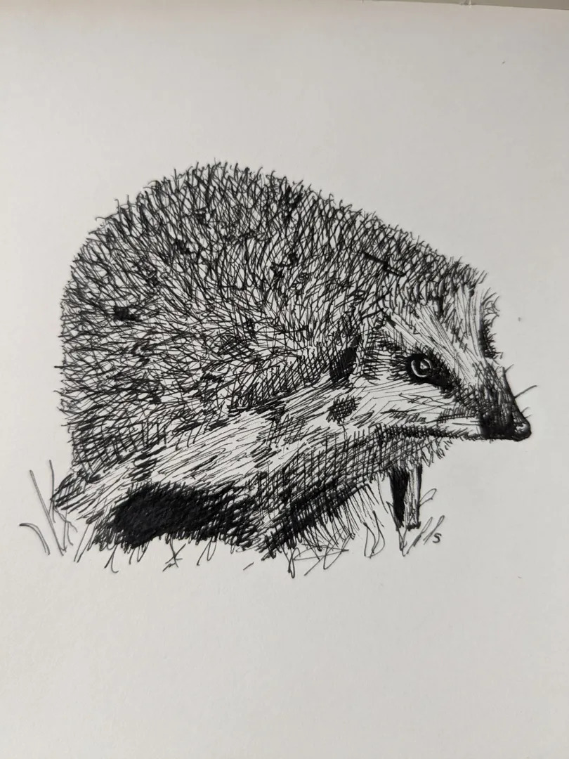 Hedgehog