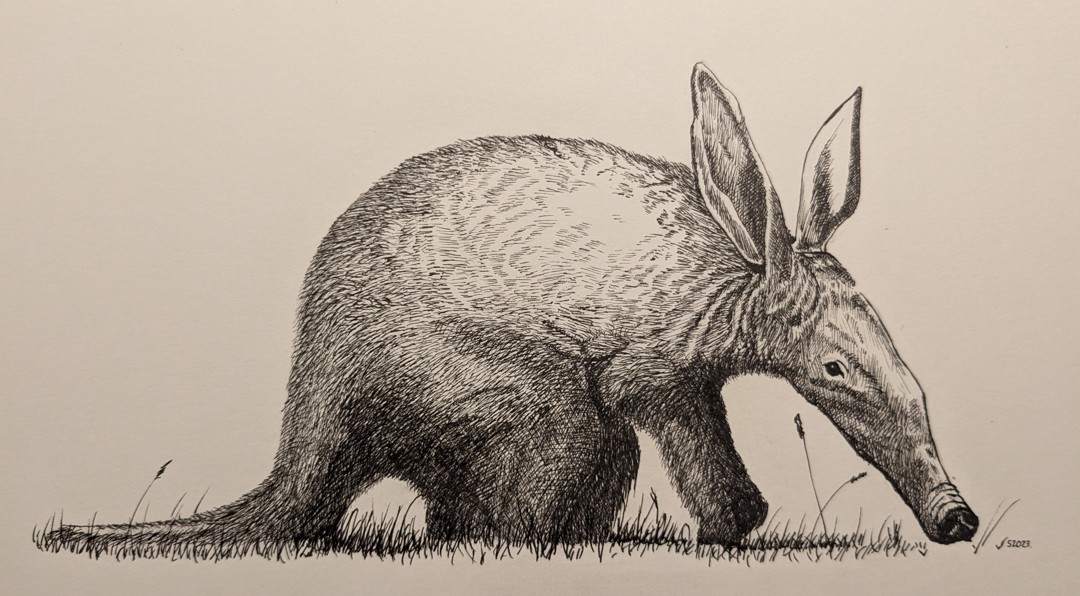 Aardvark