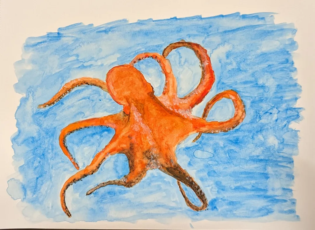 Octopus