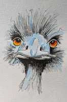 Emu