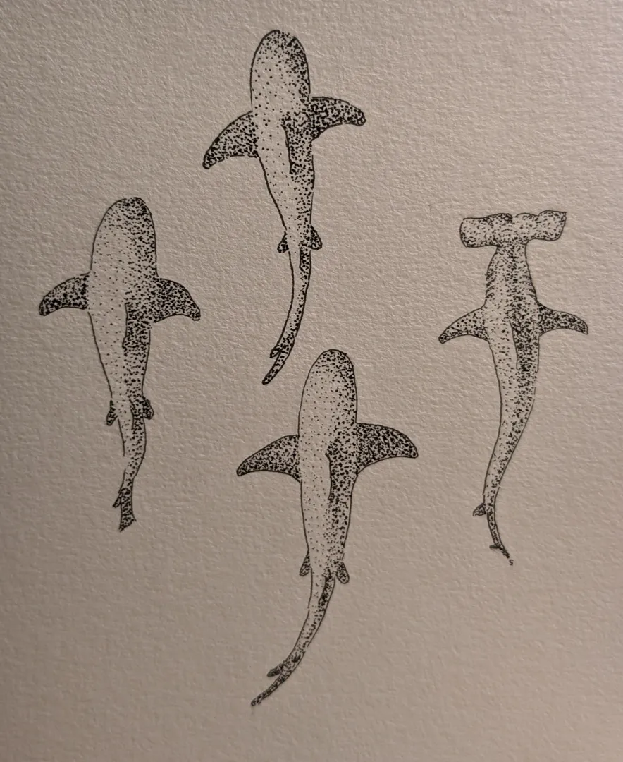 Sharks