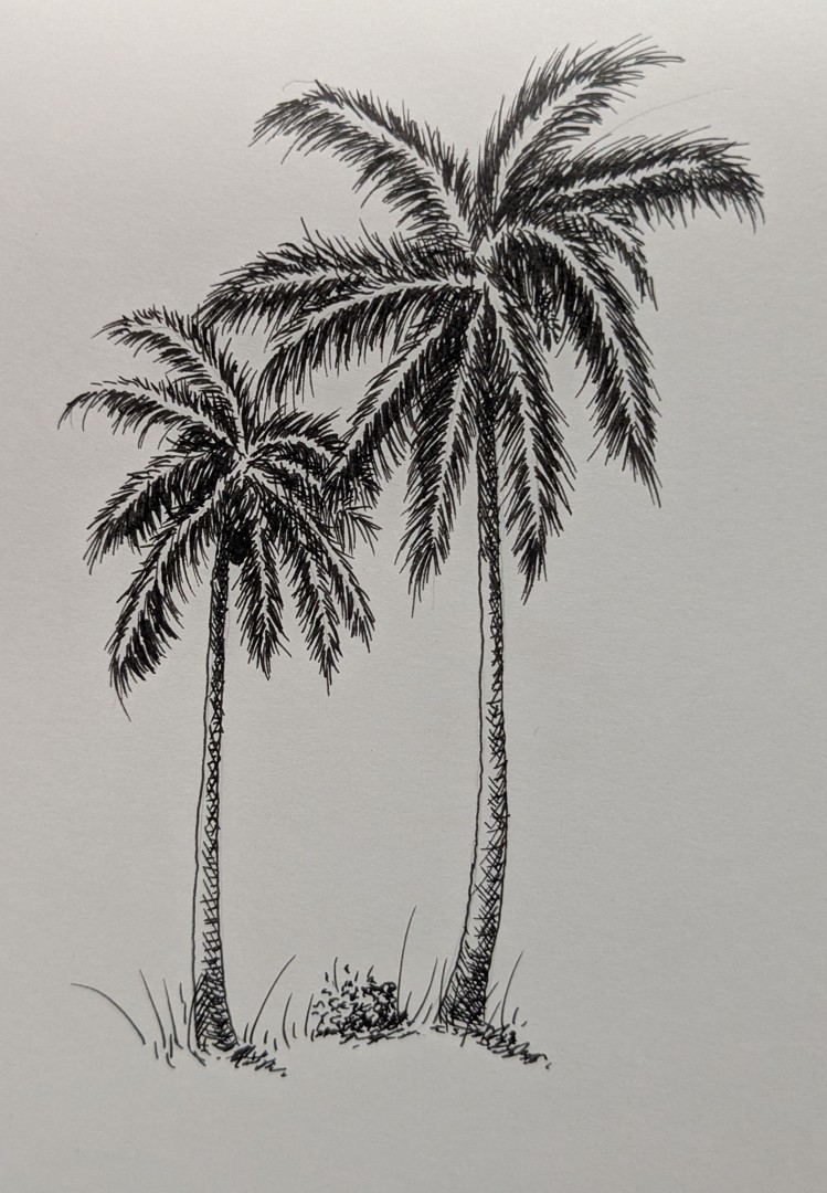 Palms