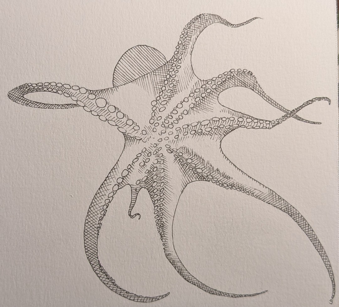 Octopus