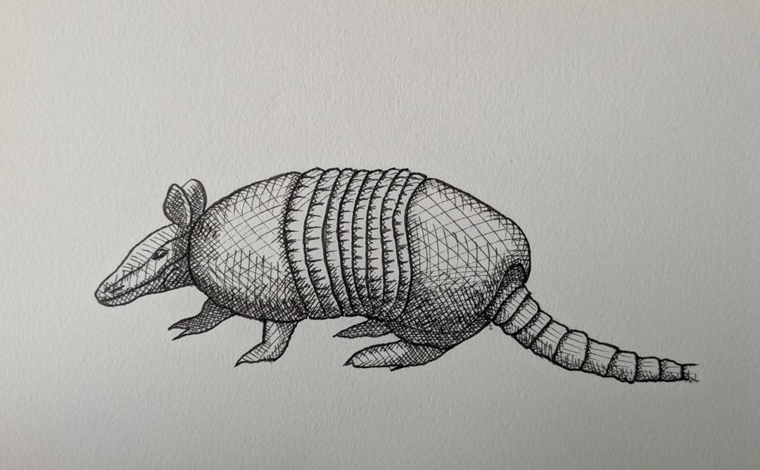 Armadillo