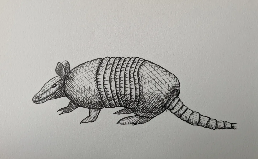 Armadillo