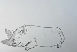 Pig