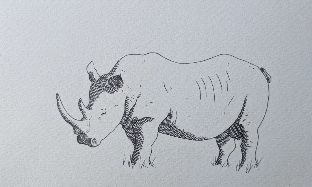 Rhino