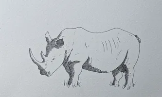 Rhino